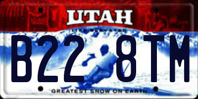 UT license plate B228TM