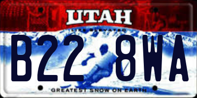 UT license plate B228WA