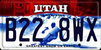 UT license plate B228WX
