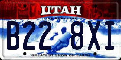 UT license plate B228XI