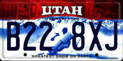 UT license plate B228XJ