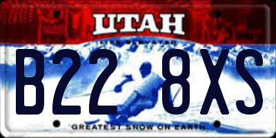 UT license plate B228XS