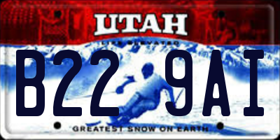 UT license plate B229AI