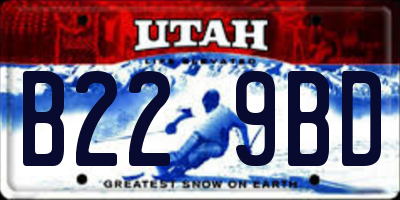 UT license plate B229BD