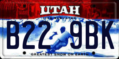 UT license plate B229BK