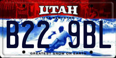 UT license plate B229BL