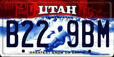 UT license plate B229BM