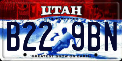 UT license plate B229BN