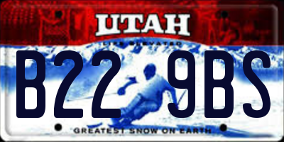 UT license plate B229BS