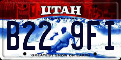 UT license plate B229FI