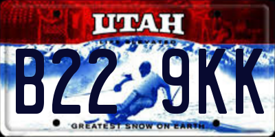 UT license plate B229KK