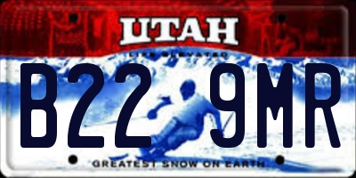 UT license plate B229MR