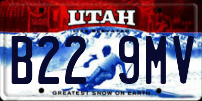 UT license plate B229MV