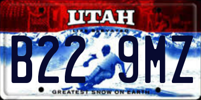 UT license plate B229MZ