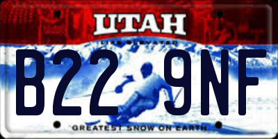 UT license plate B229NF