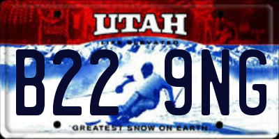 UT license plate B229NG