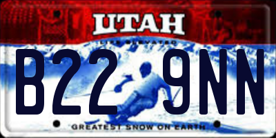 UT license plate B229NN