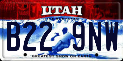 UT license plate B229NW