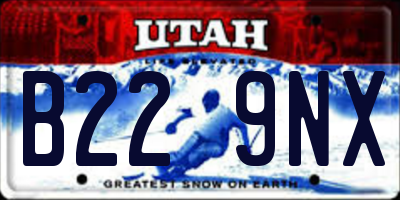 UT license plate B229NX