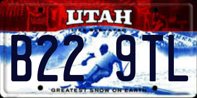 UT license plate B229TL