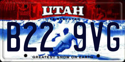 UT license plate B229VG