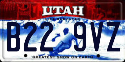 UT license plate B229VZ