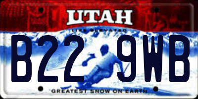 UT license plate B229WB