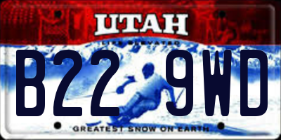 UT license plate B229WD