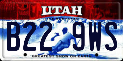 UT license plate B229WS