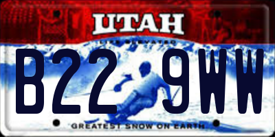UT license plate B229WW