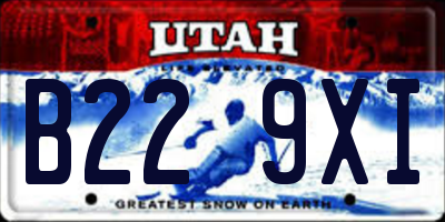 UT license plate B229XI
