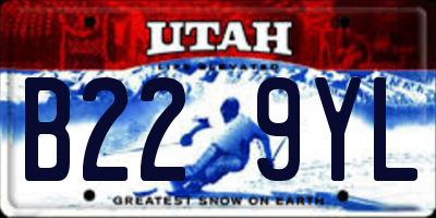 UT license plate B229YL