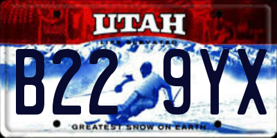 UT license plate B229YX