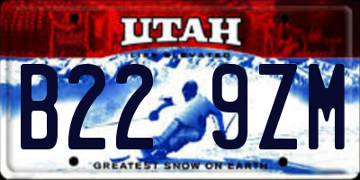 UT license plate B229ZM