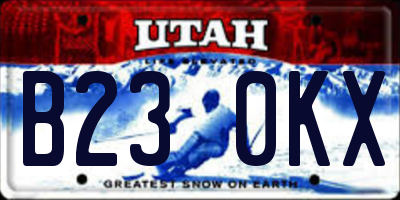 UT license plate B230KX