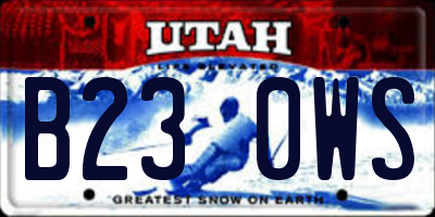 UT license plate B230WS