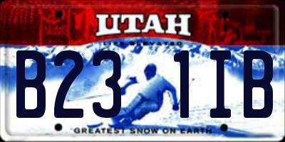 UT license plate B231IB