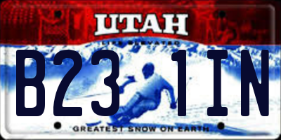 UT license plate B231IN