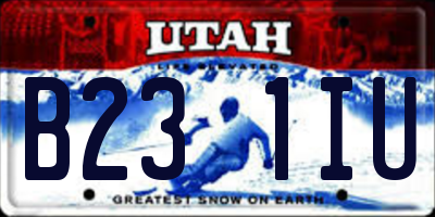UT license plate B231IU