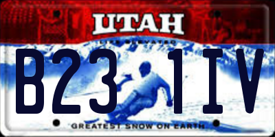 UT license plate B231IV