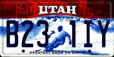 UT license plate B231IY