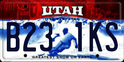 UT license plate B231KS