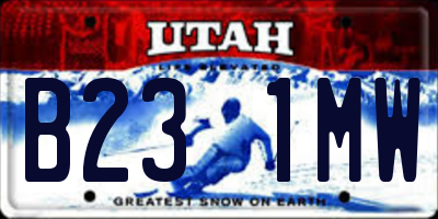 UT license plate B231MW