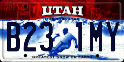 UT license plate B231MY