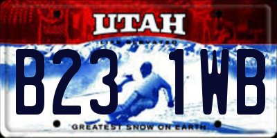 UT license plate B231WB