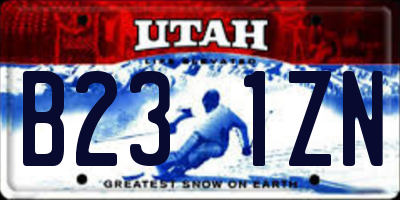 UT license plate B231ZN