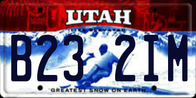 UT license plate B232IM