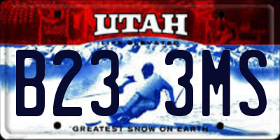 UT license plate B233MS