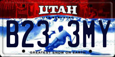 UT license plate B233MY