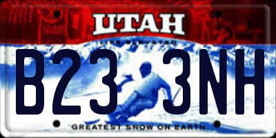 UT license plate B233NH